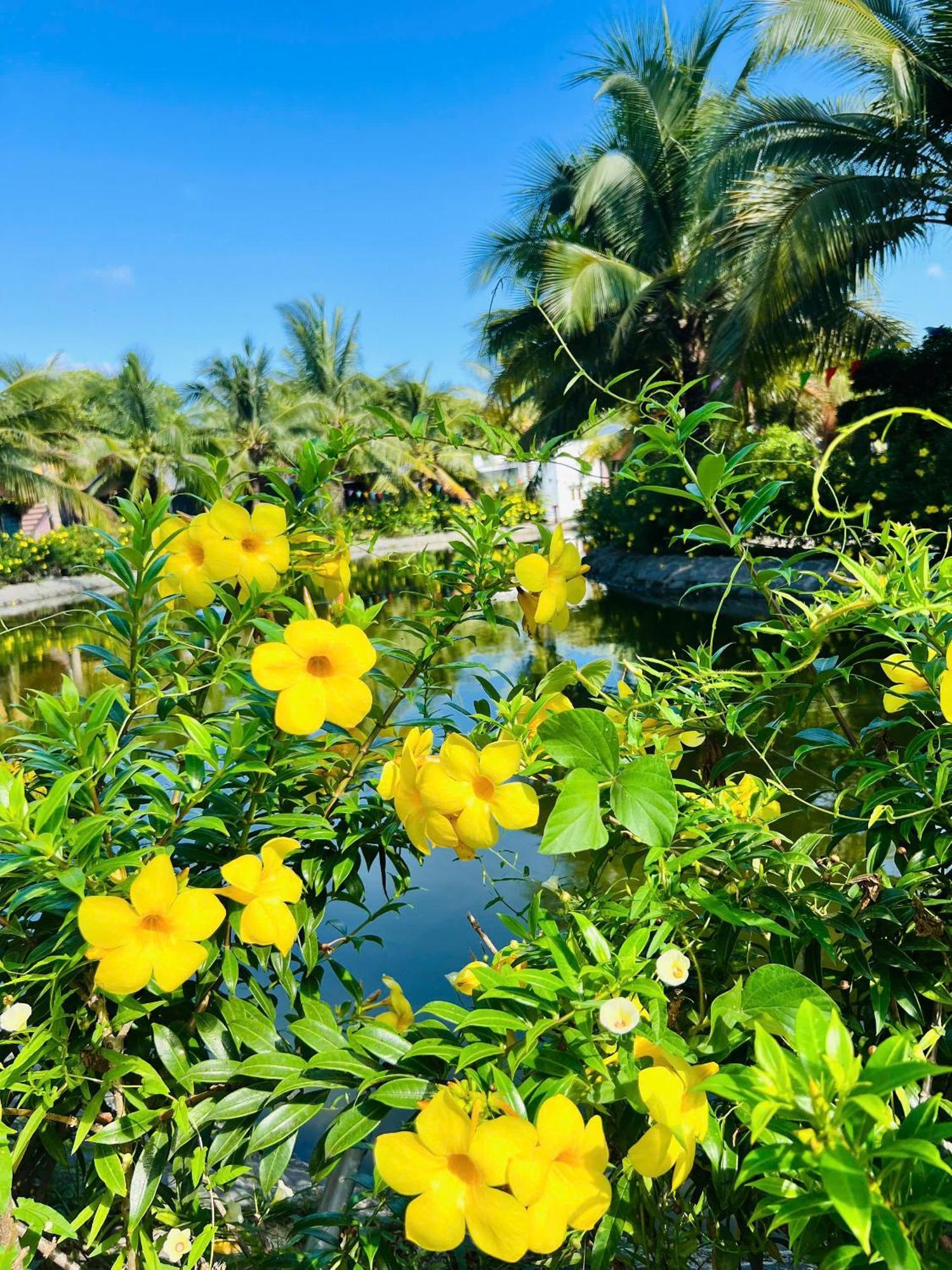 Ho Coc Park & Resort Xa Nhu Lam Exterior foto